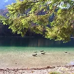 公寓 Schiemel 阿尔特穆斯特