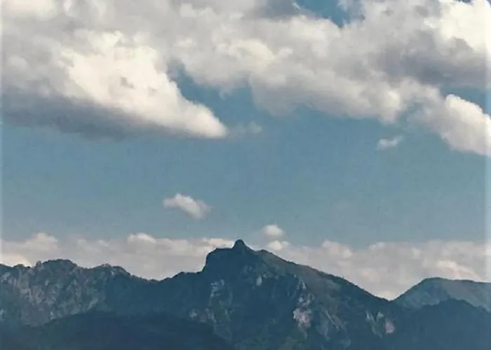 Schiemel Daire Altmünster