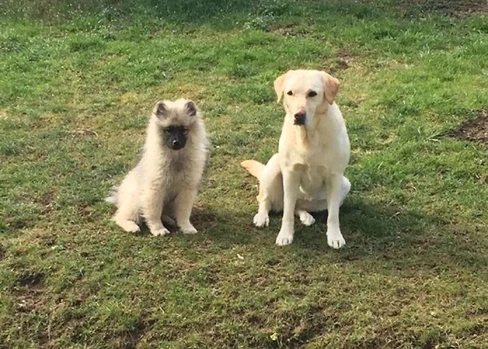 Schiemel Διαμέρισμα